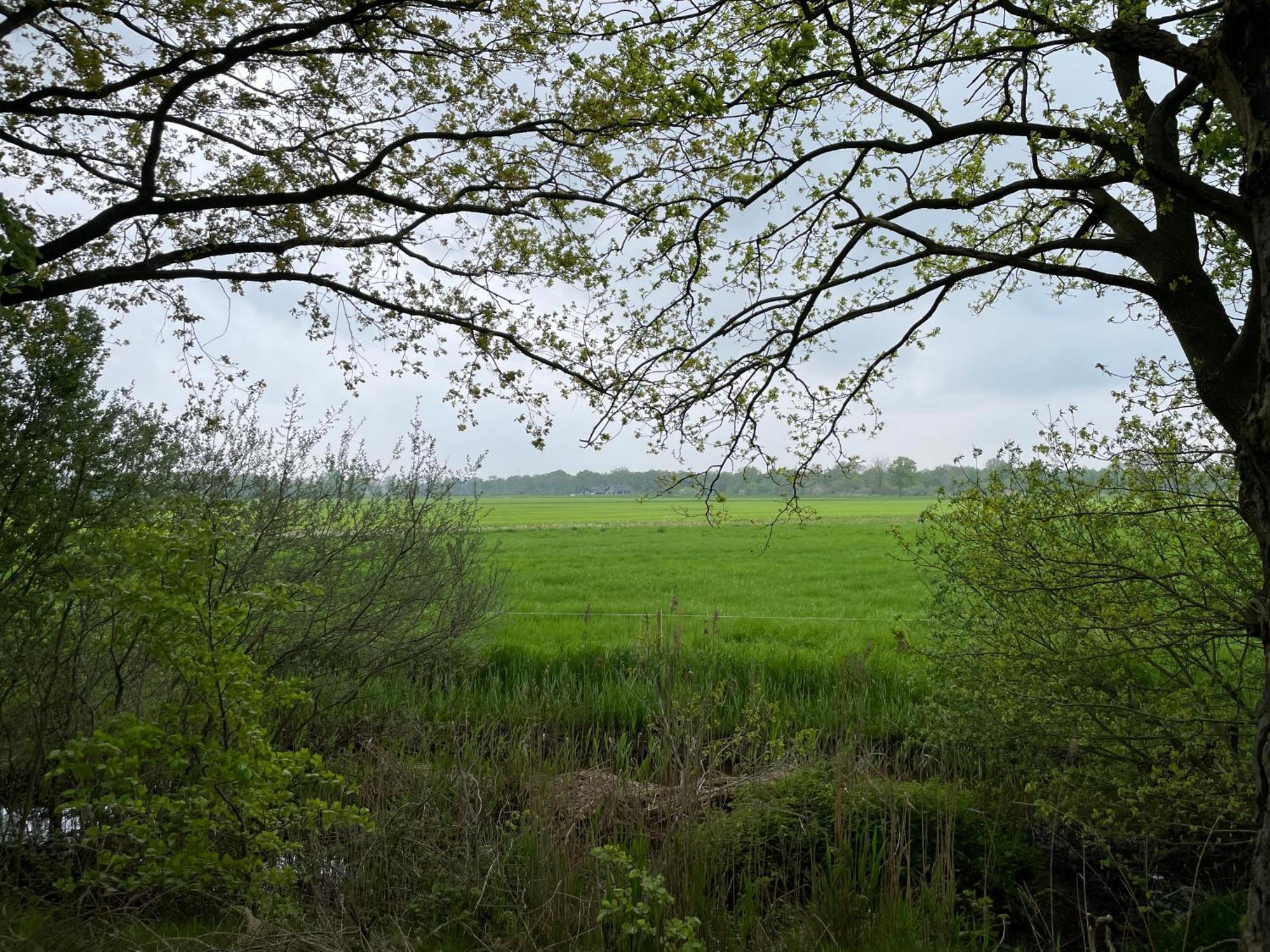 Het Riethuis Holthone エクステリア 写真